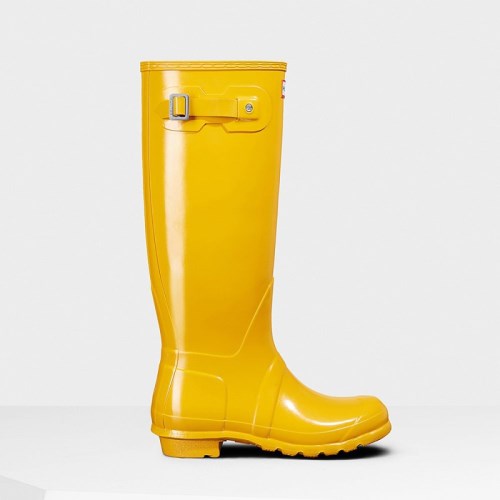 Hunter Original Gloss Tall Wellies (V273H) Ireland